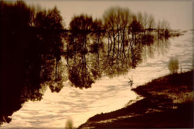 Alluvione