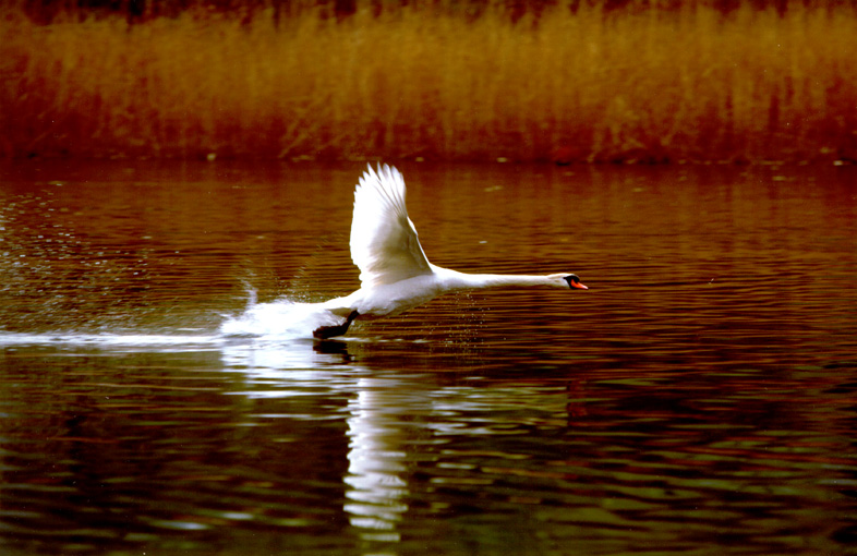 sorvolando i colori