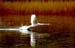 sorvolando i colori